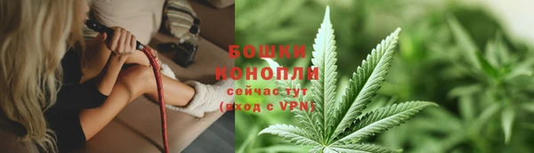 спиды Богданович